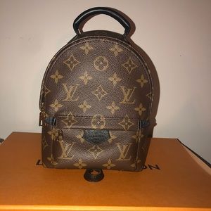 Louis Vuitton Palm Springs mini backpack